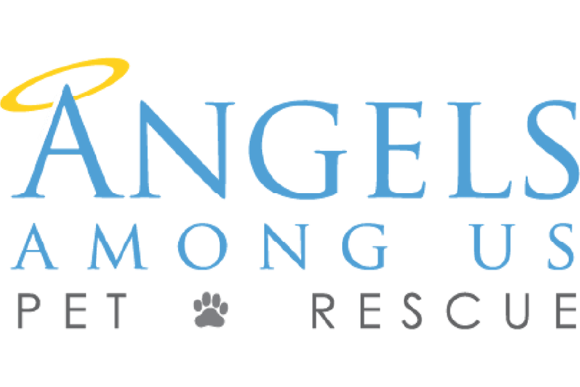 Community Involvement Charities-05