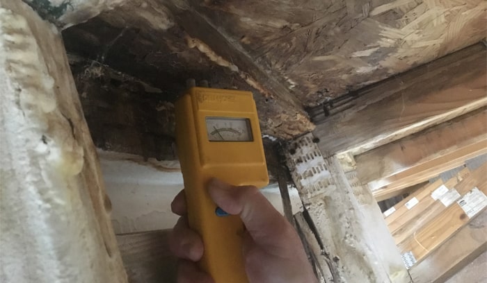 Forensic-Investigations-min (1)