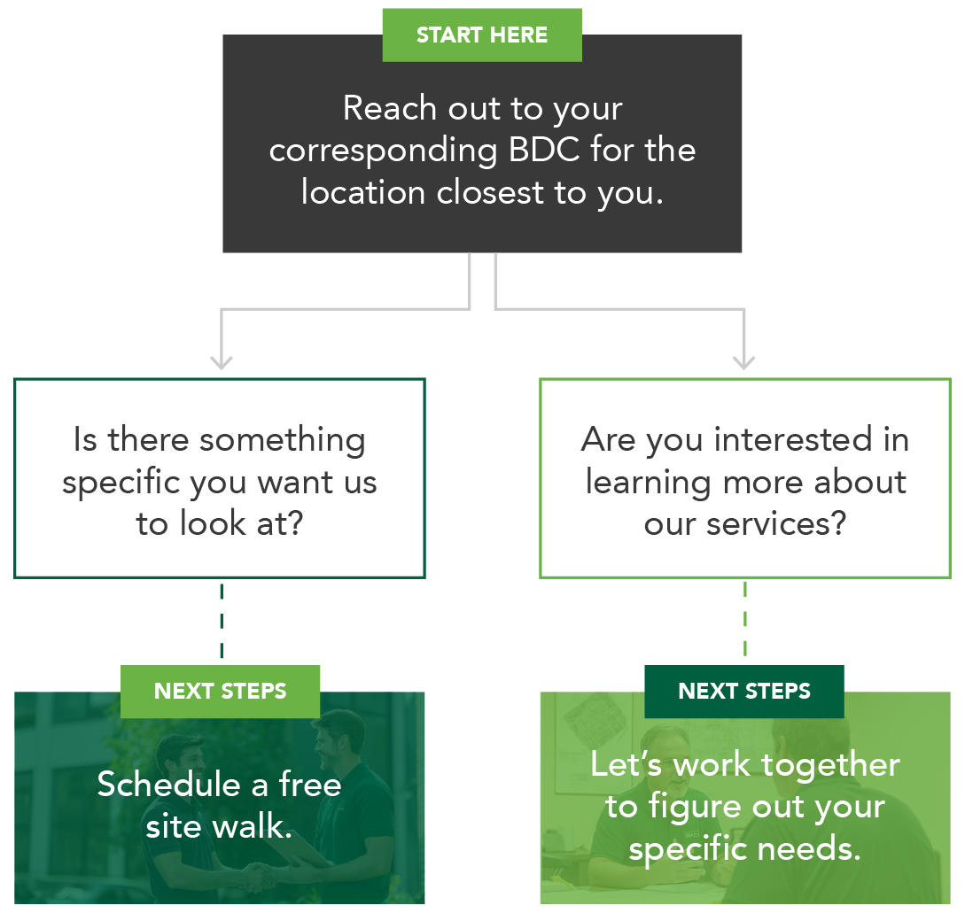 Client Next Steps-BECI