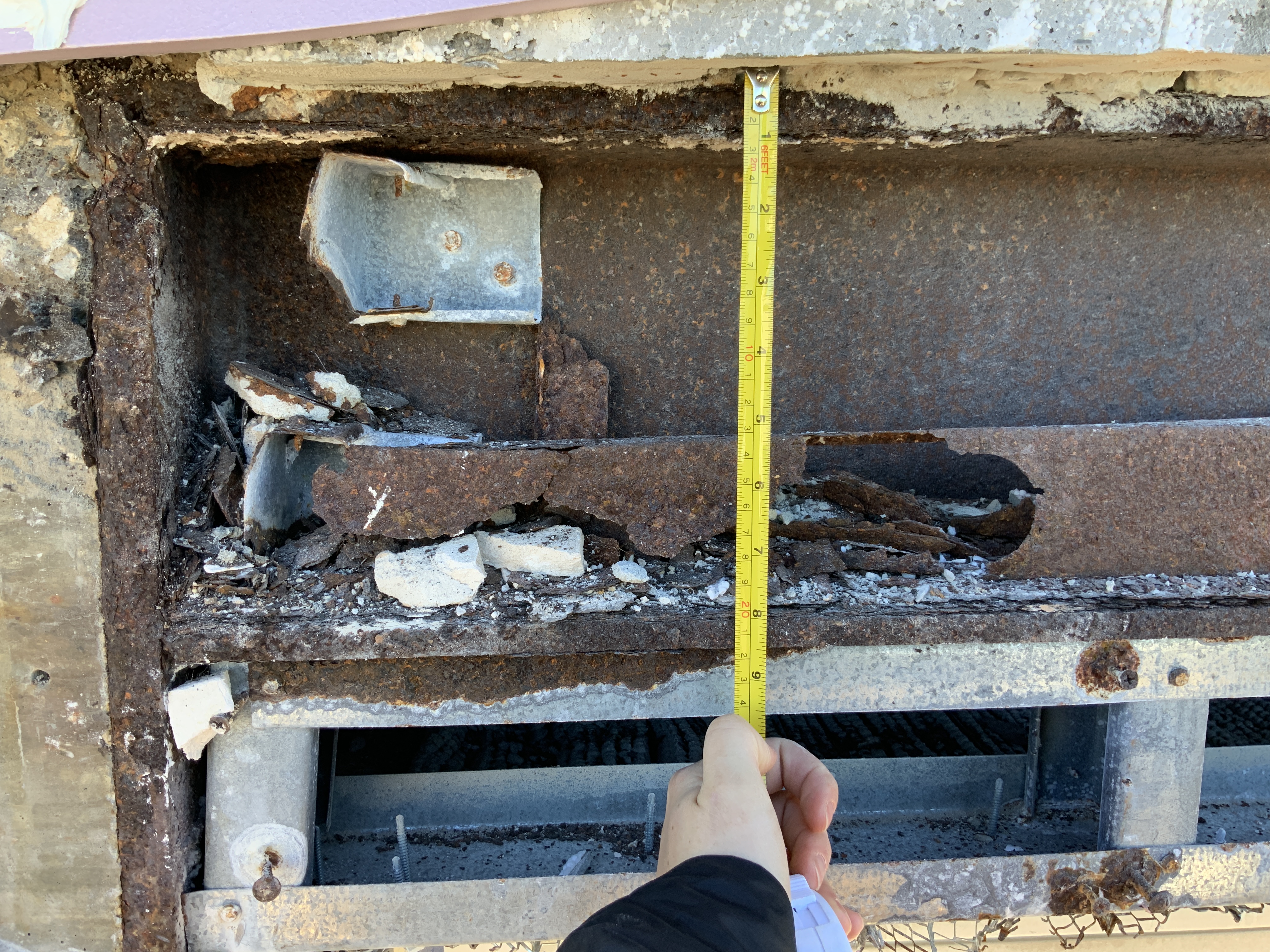 Turtle Walk Steel Cores 1